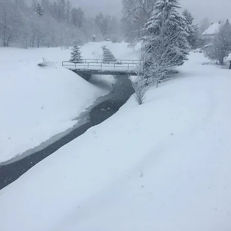 Appartement With Parking Space Lokve, Gorski Kotar - 20236 *